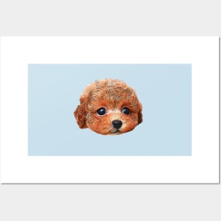 Poodle Teddy Puppy Dog Super Cute Art Posters and Art